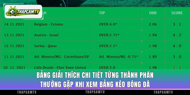 Bảng giải thích chi tiết từng thành phần thường gặp khi xem bảng kèo bóng đá