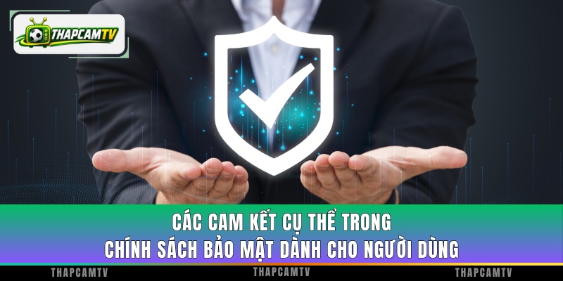 Các cam kết cụ thể được nêu trong chính sách bảo mật dành cho người dùng