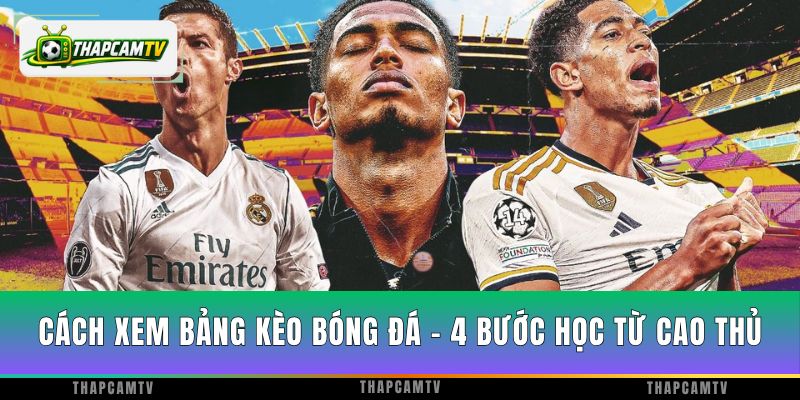 Cách Xem Bảng Kèo Bóng Đá - 4 Bước Học Từ Cao Thủ