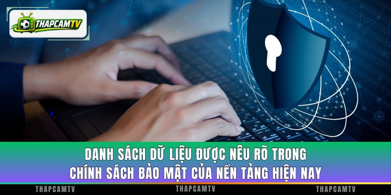 Danh sách dữ liệu được nêu rõ trong chính sách bảo mật của nền tảng hiện nay