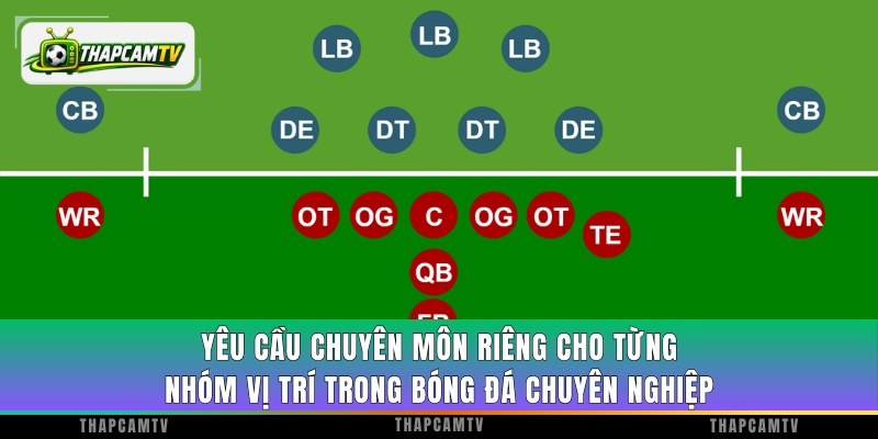 Yêu cầu chuyên môn riêng cho từng nhóm vị trí trong bóng đá chuyên nghiệp